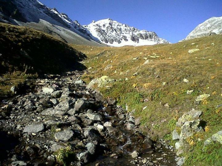 Апартаменти Sankt Moritz Chesa Ruinatsch 50 Екстер'єр фото